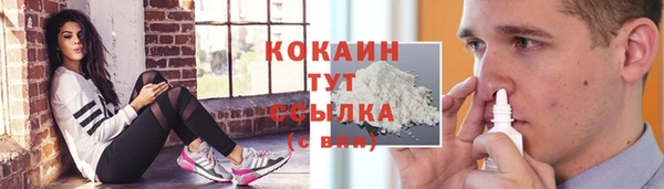 тгк Арсеньев