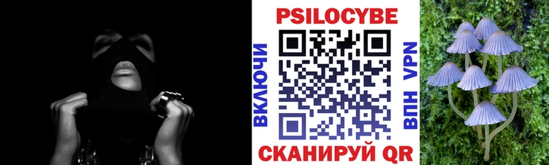 Псилоцибиновые грибы Cubensis  где купить наркотик  Ленинск-Кузнецкий 